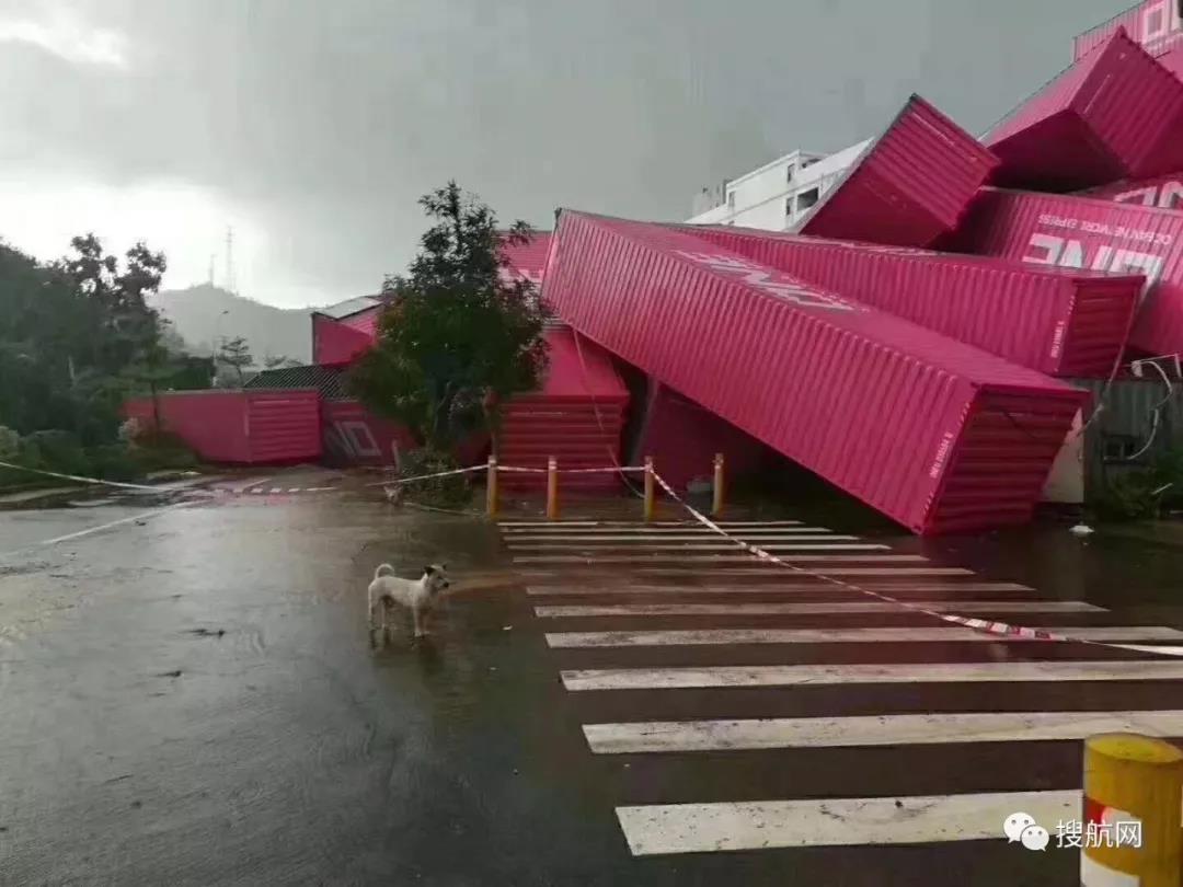 預警丨臺風“丹娜絲”周末來襲，深圳廣州廈門寧波上海港或隨時停止作業，外貿貨代企業抓緊出貨！