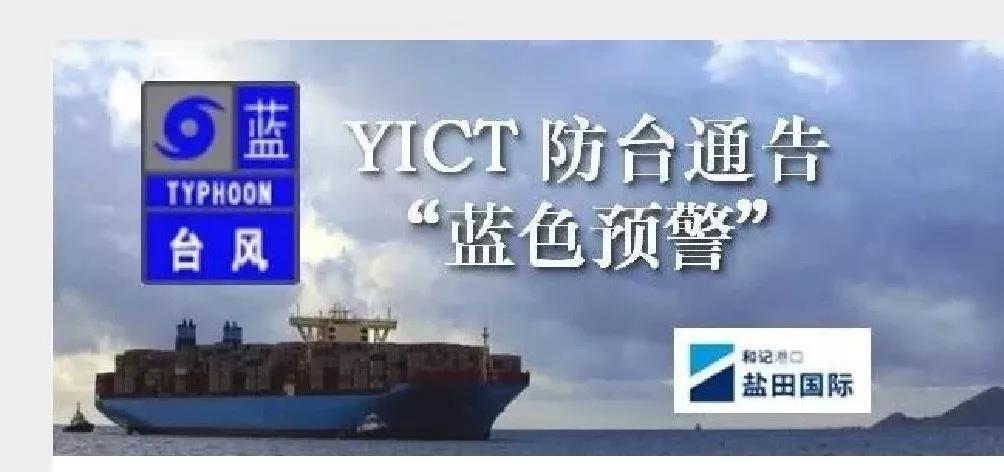 緊急通知！臺風“韋帕”來襲，深圳香港廣州各大港口全面停擺，船期面臨大面積延誤！